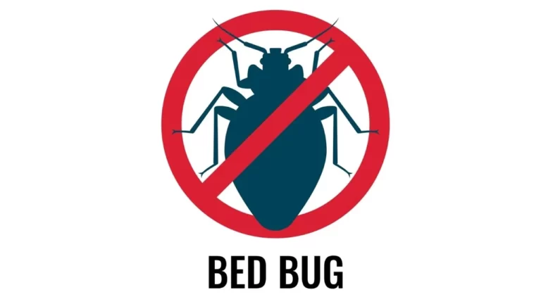 Bed bug control