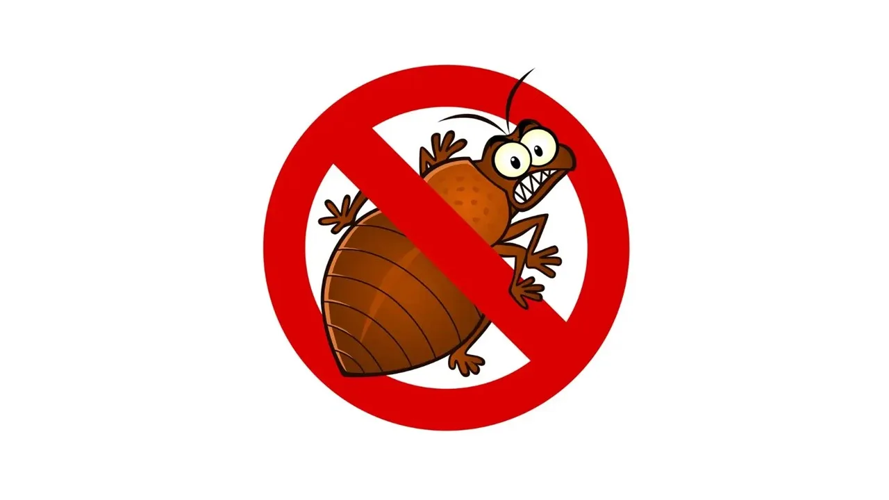 Can you Get Rid of Bed Bugs with Bleach? 1 bed bug termination