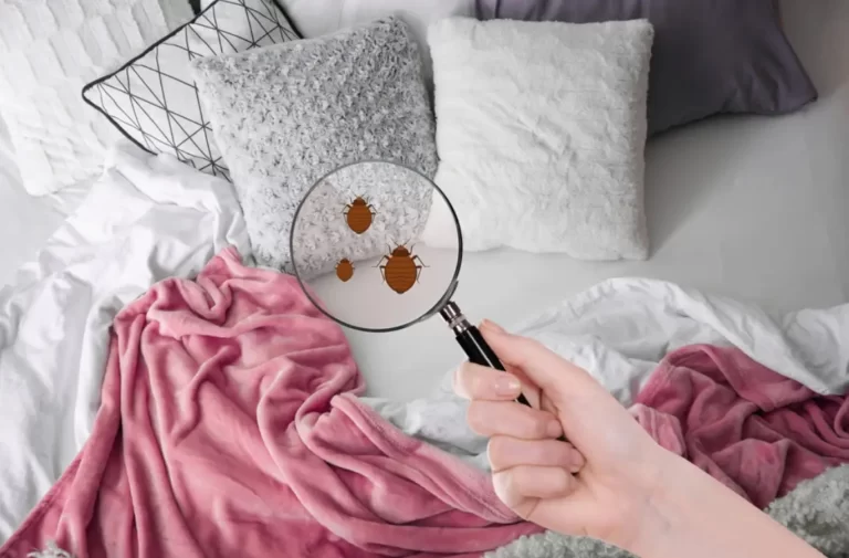 Woman with magnifying glass detecting bed bugs in bedroom
