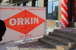 Orkin coupons | Pestnile