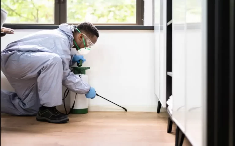 Pest Control Exterminator Man Spraying Termite Pesticide In Office