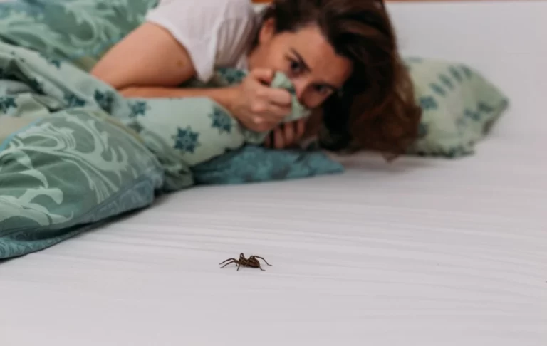 Woman in bedroom terrified by big spider crawling over her bed