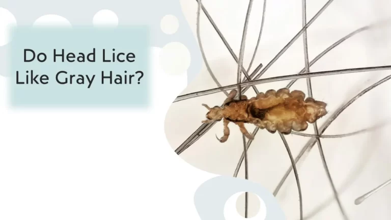 Do Head Lice Like Gray Hair