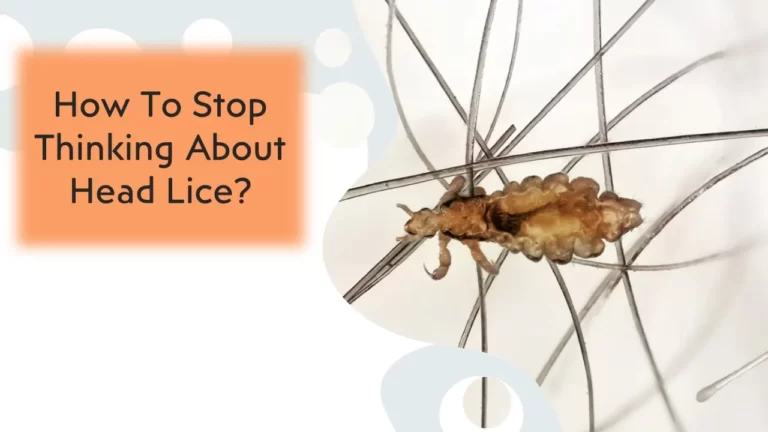 How To Stop Thinking About Head Lice