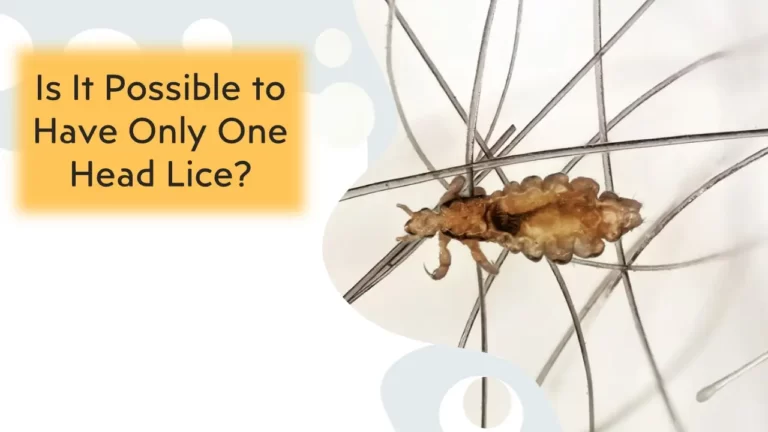 Is It Possible to Have Only One Head Lice