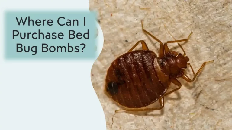 Where Can I Purchase Bed Bug Bombs.pptx